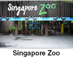 singapore-zoo