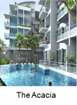 Acacia